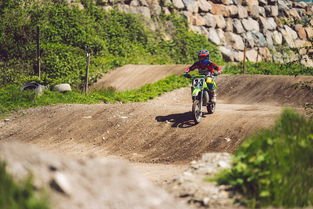 开云官方-全国青少年森林越野赛青春活力无限，青少年进森林研学